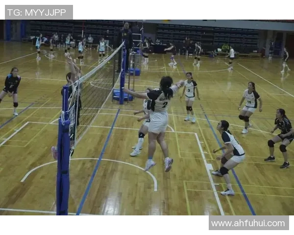 排球专题：聚焦南京排球队的意识